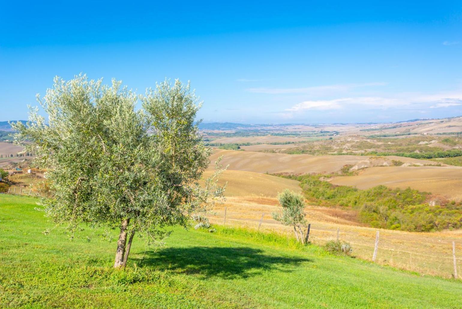Villa Podere Belvedere Siena Exterior foto